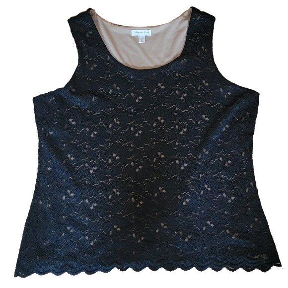 Coldwater Creek Tops - Coldwater Creek Fully Lined Lace Top (sz 2x)